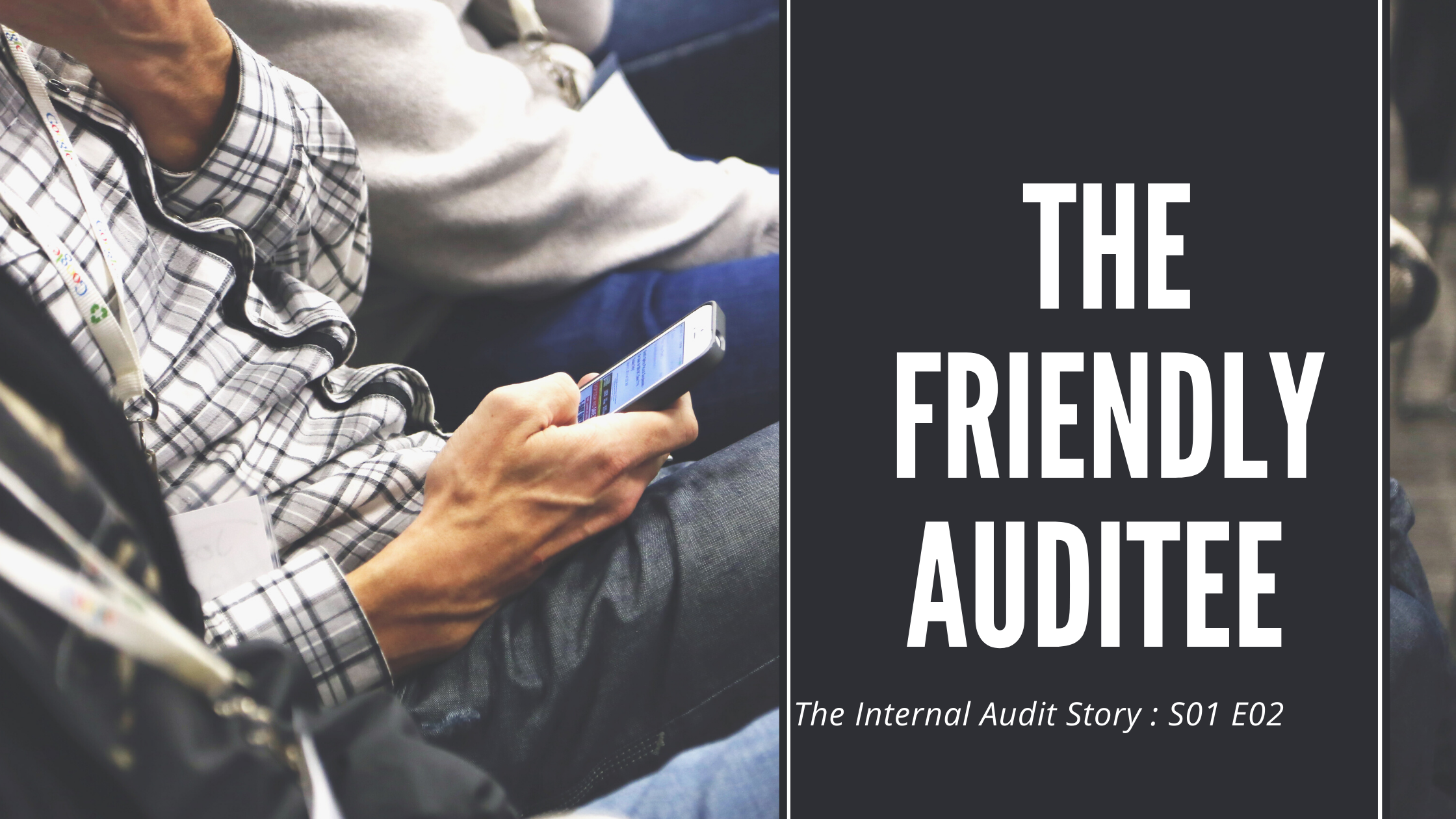 The Internal audit Story : S01E02 – The Friendly Auditee