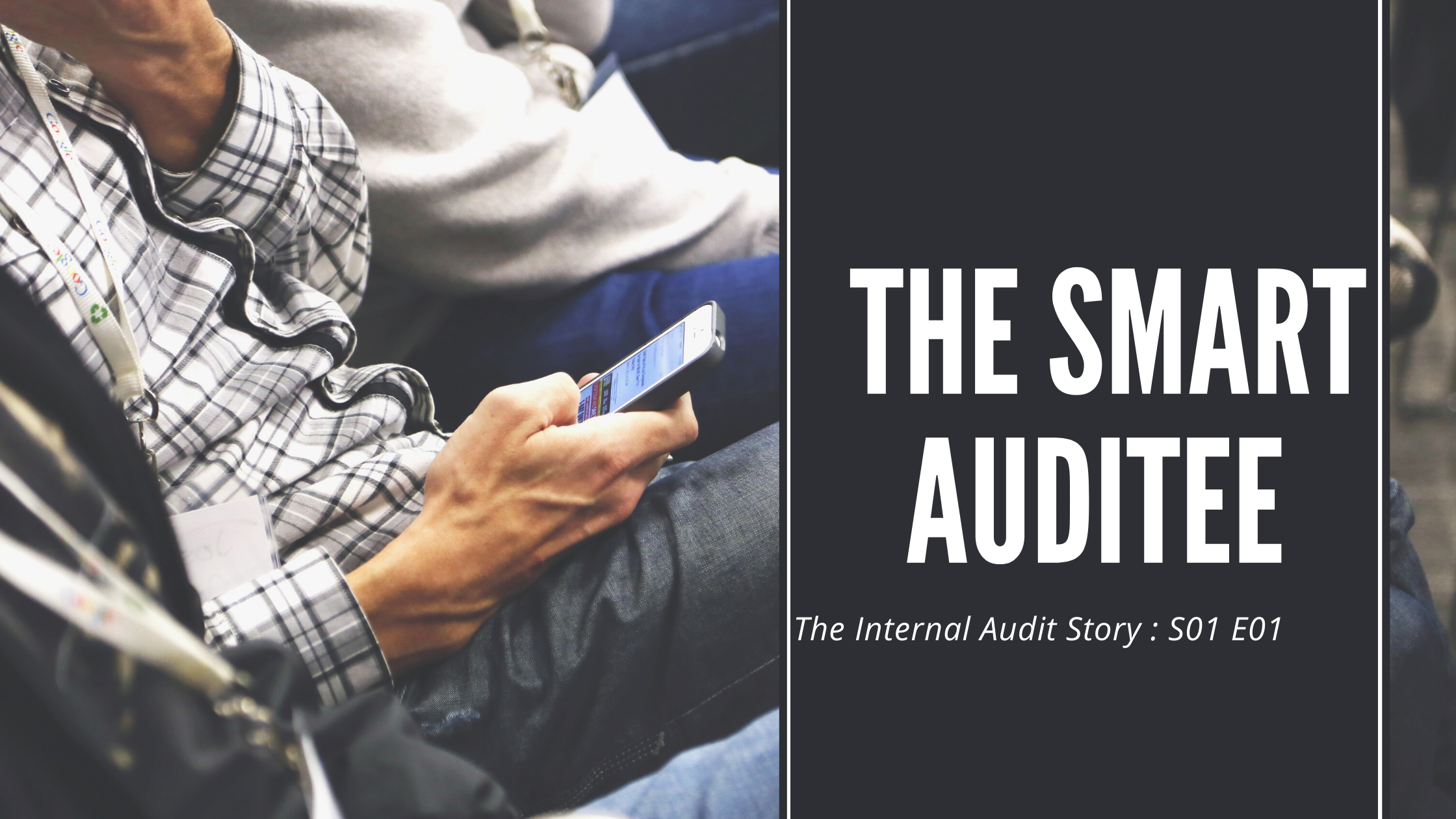 The Internal audit Story : S01E01 – The Smart Auditee